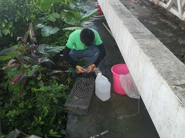 天河有害生物消杀公司毒蛇与无毒蛇的区别