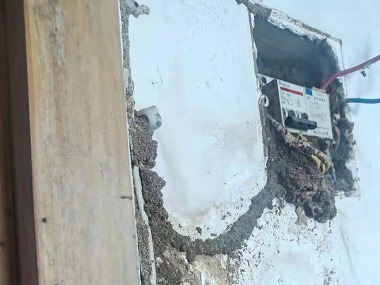 海珠验收白蚁机构秋季白蚁防治的正确方法